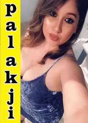 ludhiana Call Girls